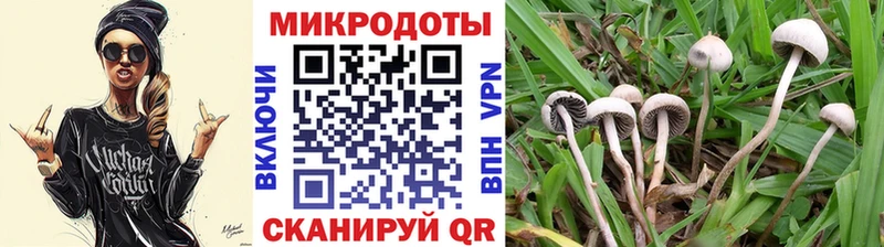 blacksprut маркетплейс  Баксан  Псилоцибиновые грибы Psilocybe 