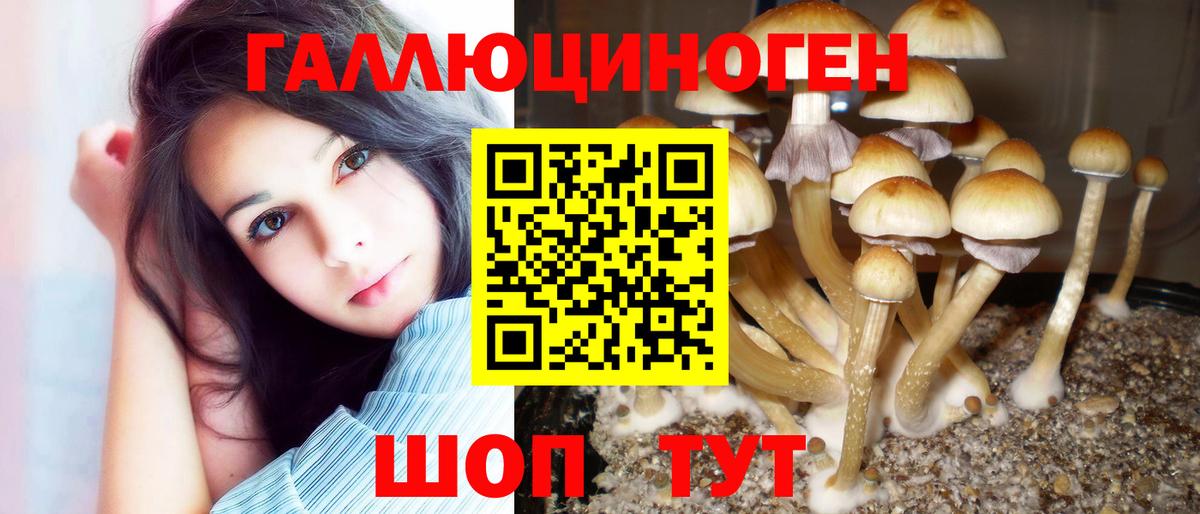 Галлюциногенные грибы мухоморы  Вход с VPN  наркота  Баксан 